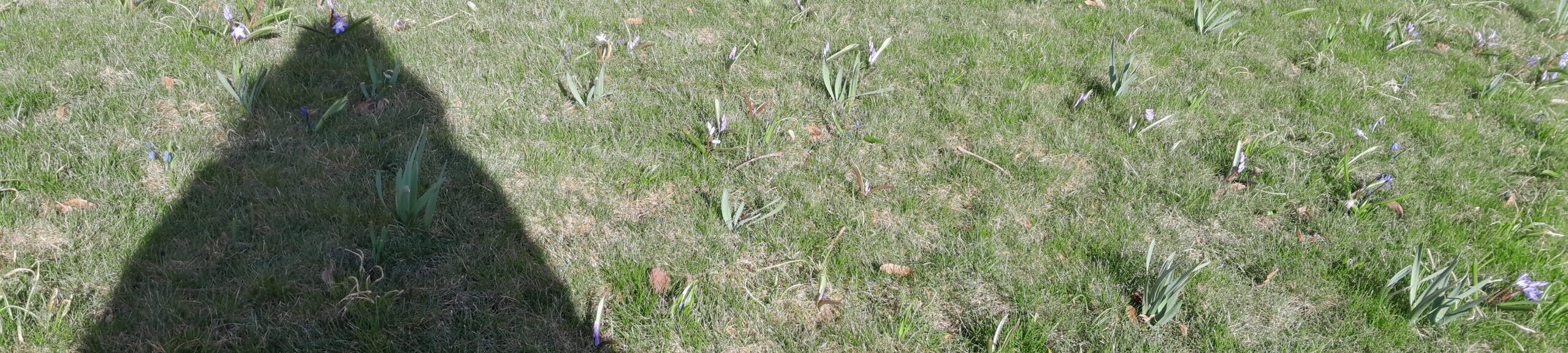 Gemenskap i Kristet Liv